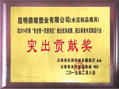 鼎駿突出貢獻獎