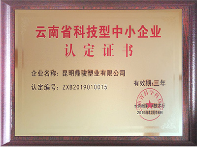 鼎駿-云南省科技型中小企業(yè)認定證書