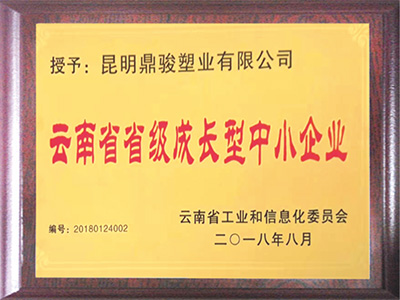 鼎駿-云南省省級成長型中小企業(yè)